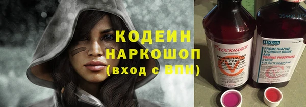 хмурый Алзамай