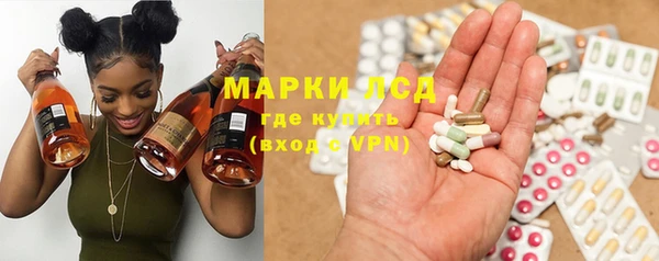 хмурый Алзамай