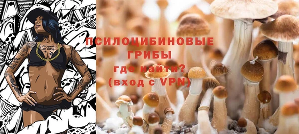 хмурый Алзамай