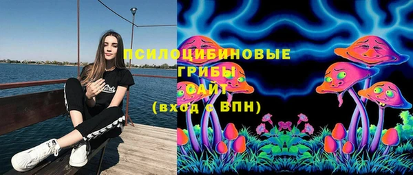 хмурый Алзамай