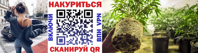 Бошки Шишки Amnesia  Кизел 